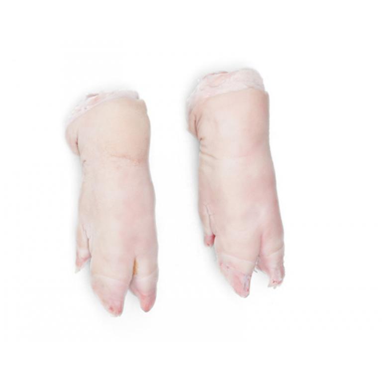 front feet