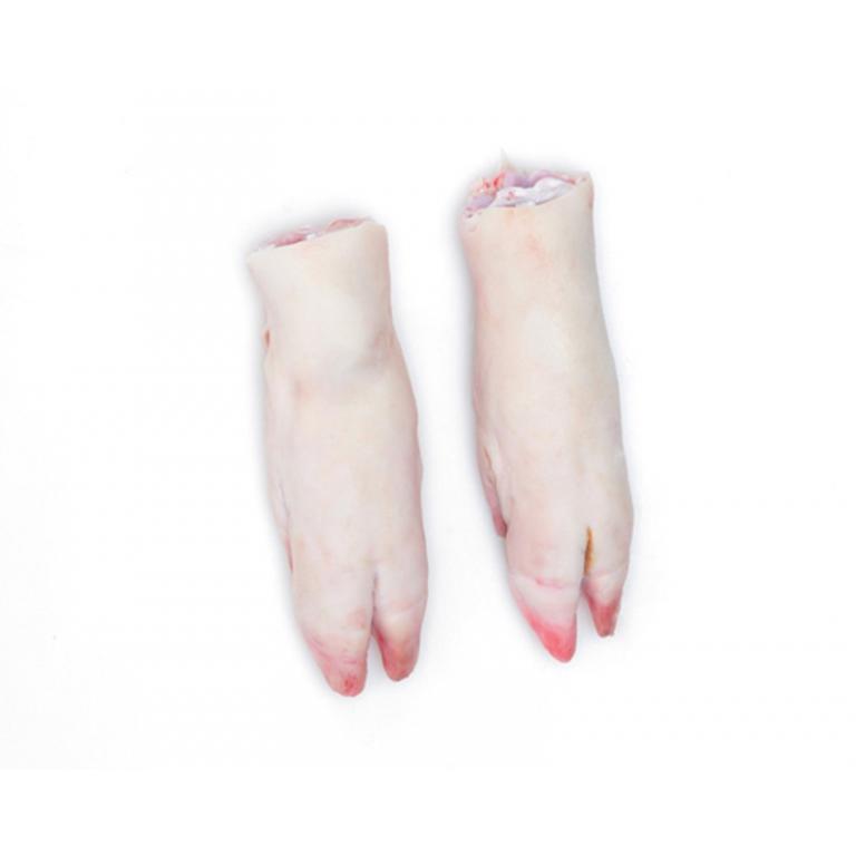 hind feet