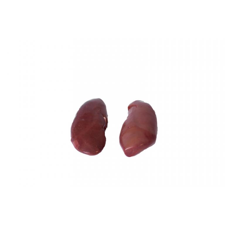 kidneys