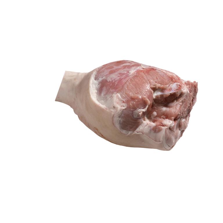 leg bone in