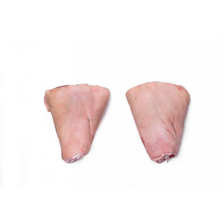 hind hock