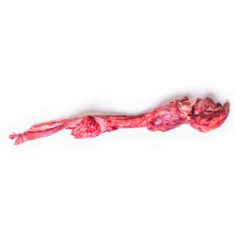 trachea 3 in 1