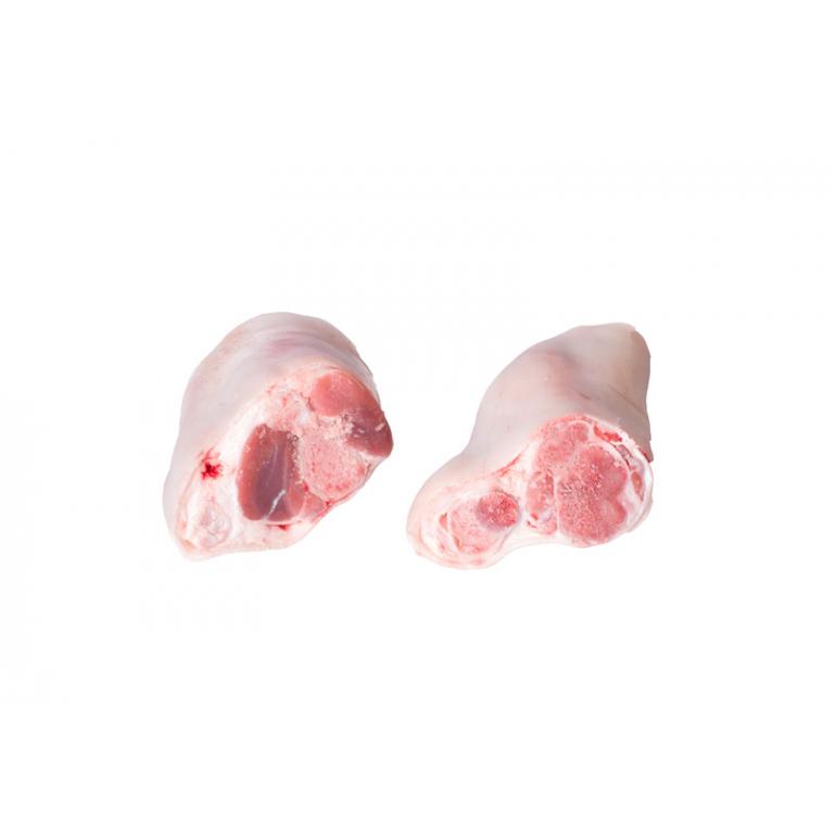 knee bones
