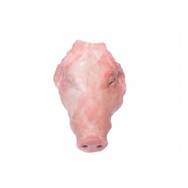 whole head w/o ears w/o cheeks w/o tongue