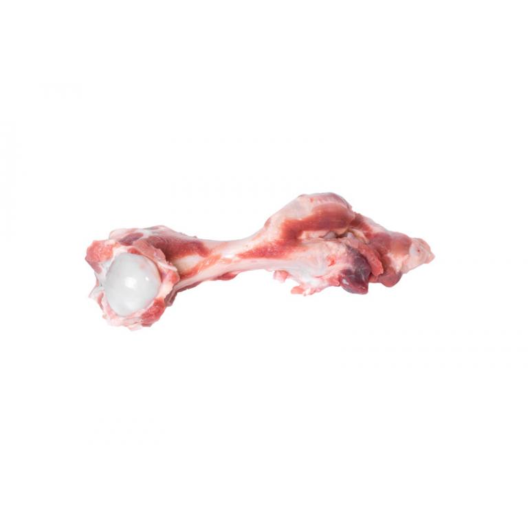 femur bones