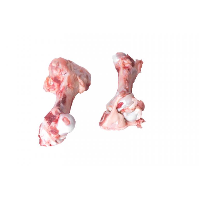 humerus bones