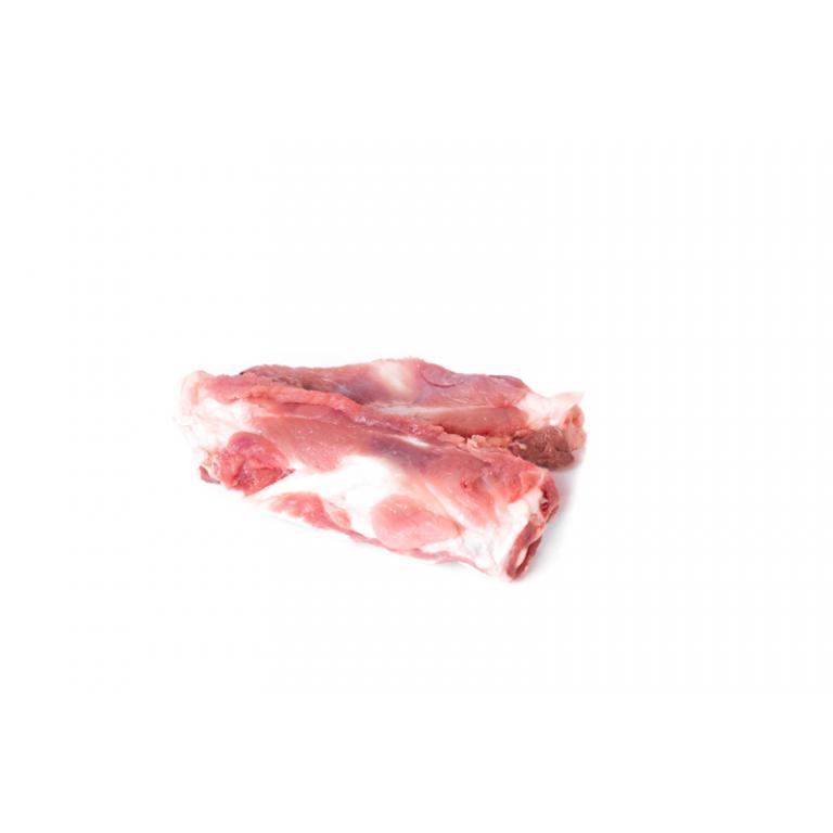 sternums